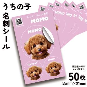 20枚 うちの子 名刺 シール ステッカー アイコン オリジナル 写真 名