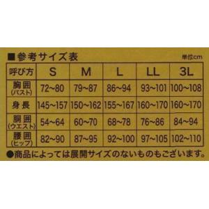 グンゼ 三分パンティ 3分丈パンツ 2点セット...の詳細画像3