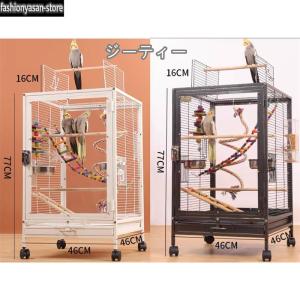 クリアアクリル鳥かご 複数飼い大型インコ ケージ セキセイインコゴザクラインコオカメインコ鳥籠 Ｗ46×Ｄ46×Ｈ77cm(外寸)