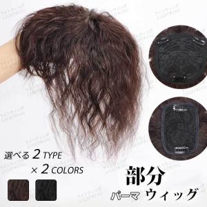 ウィッグ 自然 部分ウィッグ かつら レディース 人毛100% ショート ミディアム 頭頂部 つむじ 分け目 トップピース