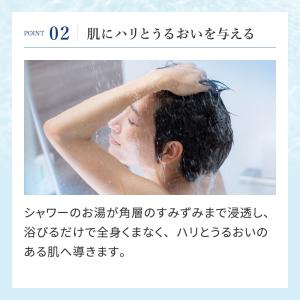 シャワーヘッド リファ ファイン バブル ピュ...の詳細画像4
