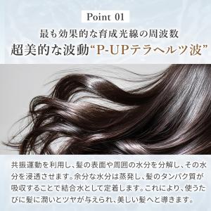 P-UP エクステラ ケミストリー テラヘルツ...の詳細画像2
