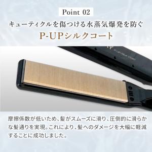 P-UP エクステラ ケミストリー テラヘルツ...の詳細画像3