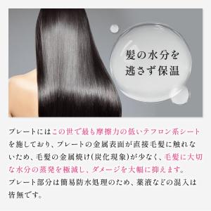 【正規品販売店】【シリアル付・保証付】ラディア...の詳細画像5