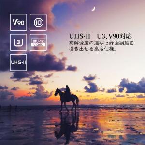 SUNEAST V90 UHS-II SDXC...の詳細画像4