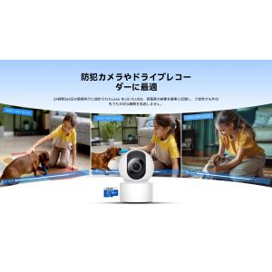 Switch対応 Lexar BLUE PLU...の詳細画像3