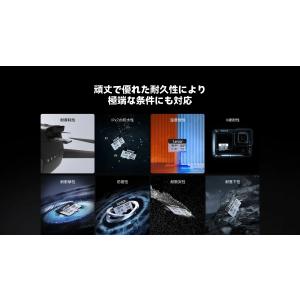 Lexar Professional SILV...の詳細画像4