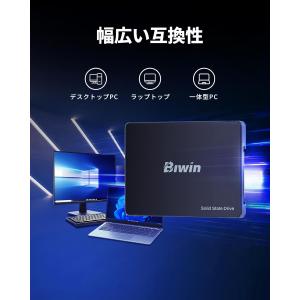 Biwin M100 2.5インチ SSD 1...の詳細画像2