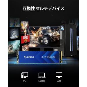 ORICO J10 1TB NVMe m.2 ...の詳細画像2