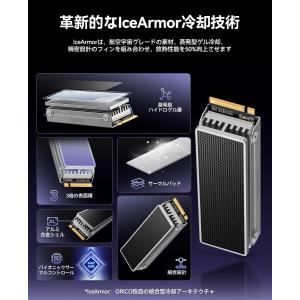 ORICO OSC M.2 2280 NVMe...の詳細画像4