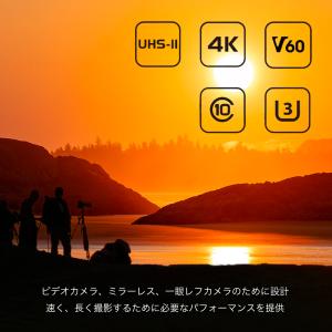 SUNEAST UHS-II SDXC 256...の詳細画像3