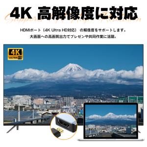 【正規代理店】SUNEAST USB Type...の詳細画像5