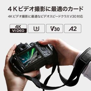 【正規代理店】【Switch対応】SUNEAS...の詳細画像2