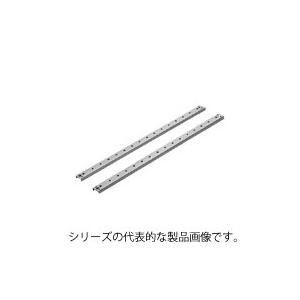 日東工業　BP21-6C　パネル用レール (RA・RAV・PD・D・RULキャビネット扉裏面用)　タテ寸法600mmのキャビネット用