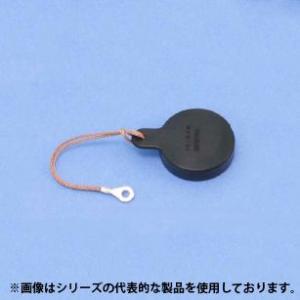 七星科学研究所　NRW-20-RCA