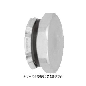 三桂製作所　RP2BGZ-16 サンパーツ 呼びG1/2　管用平行おねじ付き（六角形/八角形）｜faubon