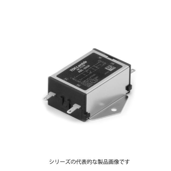 TDK-Lambda (TDKラムダ)　RSEL-2006A 小型汎用フィルタ