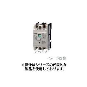 三菱電機　NF32-SV 2P 10A