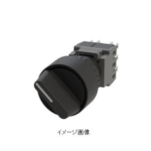富士電機 CP30FM-2P005 サーキットプロテクタ 中速形 2極 5A 富士電機 CP30FM-2P005 サーキットプロテクタ 中速形 2極 5A
