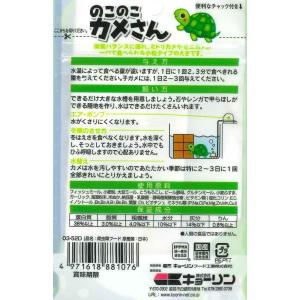 ひかりのこのこカメさん40g [trmt]の詳細画像1