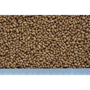 キョーリン ひかりカメプロスミニ40g 子亀の...の詳細画像2