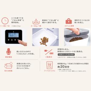ドギーマンおるすばんサポートフィーダー 犬用 ...の詳細画像3