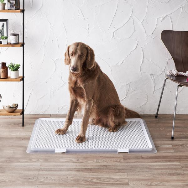 ボンビアルコン ペットレークリアメッシュXL 犬用トイレトレー XLサイズ メッシュ付き 超ワイド ...