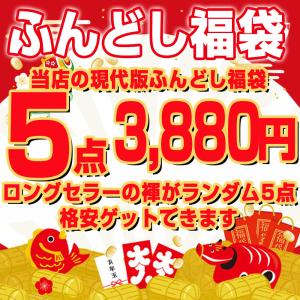 現代版 ふんどし 福袋 5枚セット メンズインナー