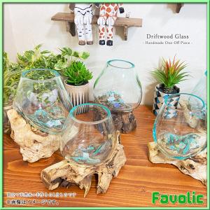 1点モノ 流木ガラス M 観葉植物 花瓶 苔テ...の詳細画像2