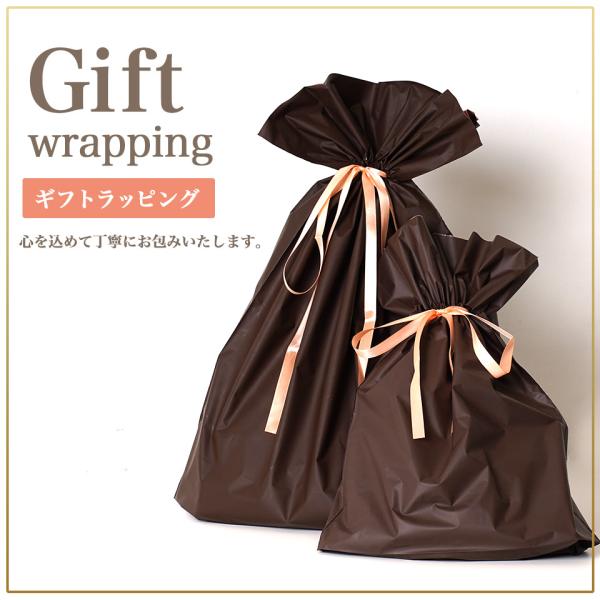◆ラッピングチケット◆(ラッピング プレゼント 袋 誕生日 お祝い リボン 誕生日ラッピング 包装紙...