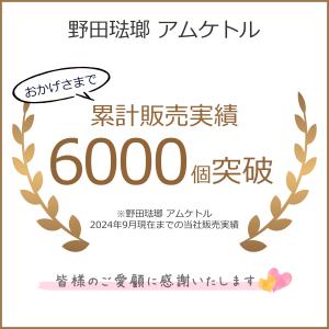 野田琺瑯 ケトル アムケトル ホーロー やかん...の詳細画像1