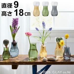 ＼9/1はポイント10倍/ 水耕栽培 ガラス ベ...の商品画像