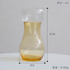 ＼9/1はポイント10倍/ 水耕栽培 ガラス ...の詳細画像2
