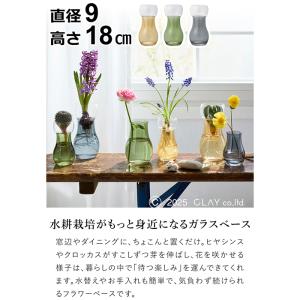 ＼9/1はポイント10倍/ 水耕栽培 ガラス ...の詳細画像4