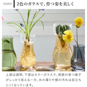 ＼9/1はポイント10倍/ 水耕栽培 ガラス ...の詳細画像5