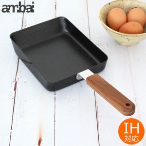 A695 高火力調理で 焼く・炒める Ｗファイバーライン 鉄フライパンセット A695 高火力調理で 焼く・炒める Wファイバーライン 鉄フライパン