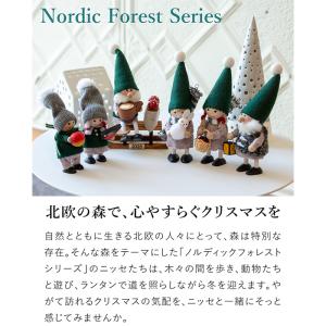 【今季完売】ノルディカニッセ 2025 新作 ...の詳細画像2