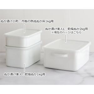 ＼8/5はポイント10倍/ 野田琺瑯 ぬか漬け...の詳細画像3