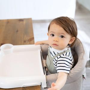 Inglesina fast イングリッシーナ...の詳細画像5