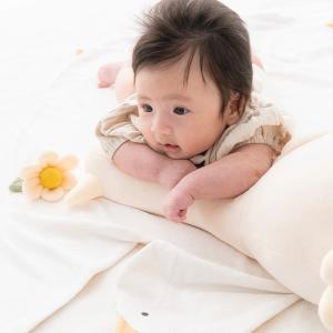 Nouer des liens ぬいぐるみラト...の詳細画像4