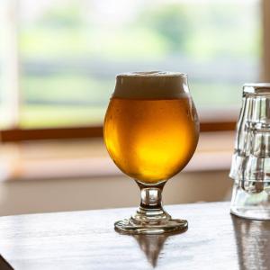 気取りすぎない 丸いステムグラス大(ワイングラ...の詳細画像4