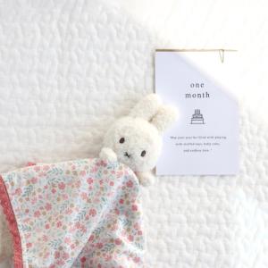 miffy×Little Dutch ドゥード...の詳細画像3