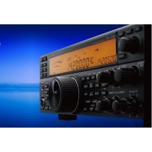 第一電波工業 ダイヤモンド D1300AM AMラジオ受信対応スーパーディ