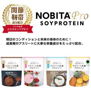 ノビタ NOBITA PRO プロ ソイプロテイン 味が選べる2袋セット