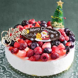 サンタ santa ケーキ クリスマスケーキ ...の詳細画像1