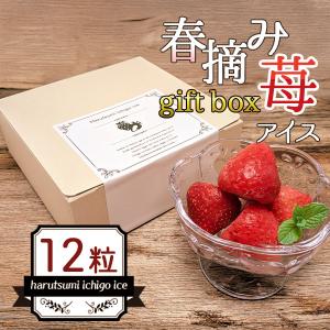 冷凍 いちごまるごと練乳入りアイス 20g×50個入 練乳いちごアイス 苺