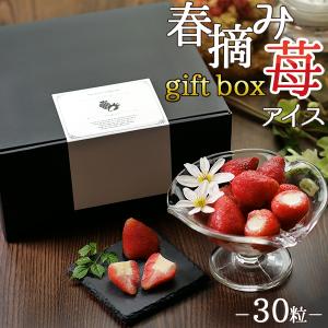 母の日 プレゼント 花以外 スイーツ アイス ギフト 2024 送料無料 いちご イチゴ デザート 春摘み苺アイス 30粒 ギフトボックス mothersday