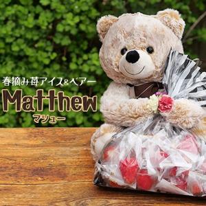 母の日 プレゼント スイーツ ギフト 2024 花以外 送料無料 ぬいぐるみ 春摘み苺アイス＆ベアー「Matthew」 熊 アイス イチゴアイス mothersday｜fbcreate