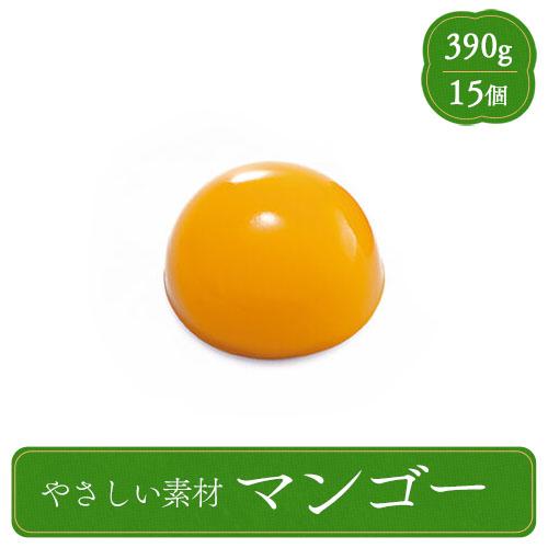 やさしい素材 マンゴー 390g 業務用 家庭用