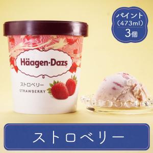 アンデイコ AS シューアイス ストロベリー 苺 業務用 6袋入り 1箱